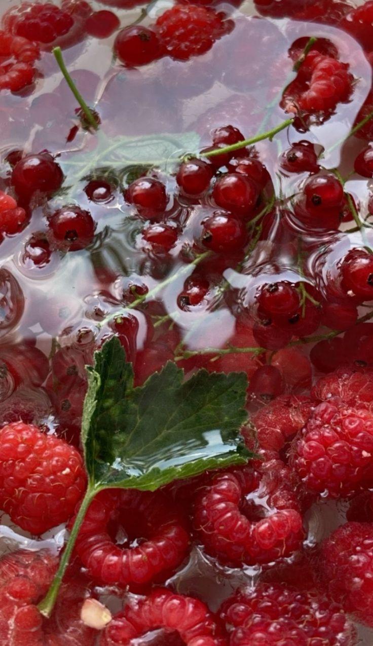 Orchard Jewels: Sun-Kissed Berries Galore