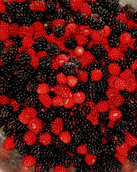 Field-Fresh Berry Assortment: Pure Countryside Flavors