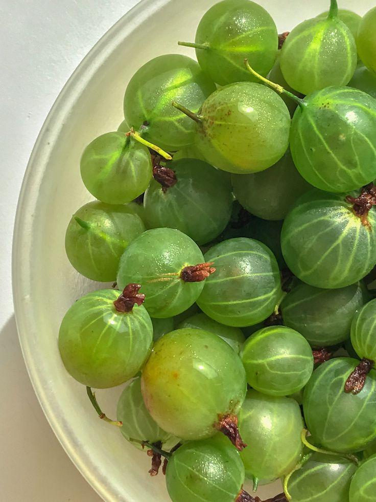 Berry Bounty: Fresh Farm Harvest Delights