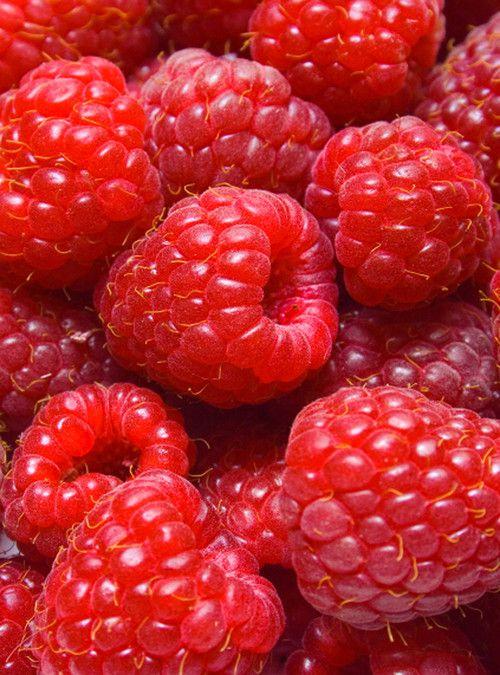 Rustic Berry Ensemble: Nature's Sweet Medley